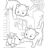 Cute cat pictures to print. 1