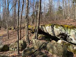 Current Disc Golf Course Design Projects By John Houck