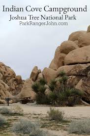 Joshua trees begin to bloom in late february, soon followed by shrubs and wildflowers. Indian Cove Campground Joshua Tree National Park Park Ranger John