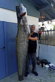 Please click below to access your installation Angler Holt 2 27 Meter Langen Wels Aus Dem Rhein Kreis Waldshut Badische Zeitung