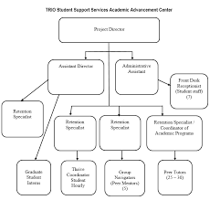 Organization Chart Academic Advancement Center