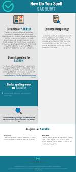 Correct Spelling For Sacrum Infographic Spellchecker Net