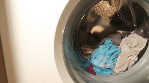 Select a gentle wash at the beginning followed by a heavy wash. Washing Machine Turning Front Stock Footage Video 100 Royalty Free 17414311 Shutterstock