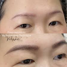 SOFTSTROKES BROWS TRAINIGG COURSE