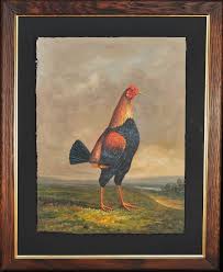 Epiphyllum tail feathers x oberon. Unknown Modern Fighting Game Cock 19th Century Oil On Canvas Rooster Cockerel Victorian At 1stdibs