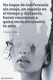 Pin En Frases Celebres