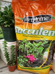 Scotts soil, conditioners & mulch. Fertilome Succulent Soil White Oak Gardens Cincinnati Oh