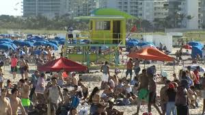 As a substitute she broke some semi sweetened chocolate into small pieces and put them in the dough. Miami Beach Mayor Spring Break Is Over Nbc 6 South Florida