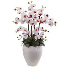 When you buy jenny silks real touch white orchid and succulent arrangement or any product product online from us, you become part of the houzz family and can expect exceptional customer service. Silk Orchid Arrangements