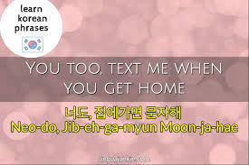 Context sentences for i love you too in korean. Korean Phrases Learn 10 Ways To Say Bye In Korean