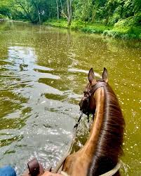 Jake Masterson (@crownmranch) • Instagram photos and videos