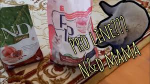 Topaklanan Kedi Kumu Gercekten Iyi Mi Proline Kedi Kumu N D Mama Youtube