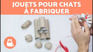 Consultez notre jouet interactif pour chat avis maintenant. Jouets Pour Chats A Fabriquer Youtube