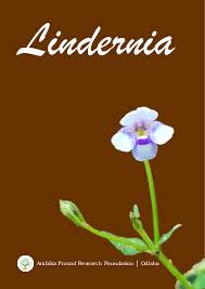 Image result for Craterostigma nummulariifolium