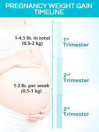 pregnancy weight gain calculator