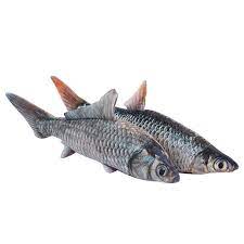 3d fisch pluschtier plusch niedliche stofftiere pluschtier