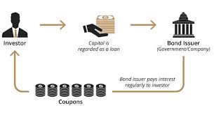 Browse our extensive collection of mens and women's clothing including. What Are Bonds And How Do Bonds Work Dbs Treasures