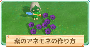 あつ森 紫アネモネの作り方と増やし方 確率検証 あつまれどうぶつの森 ゲームウィズ Gamewith