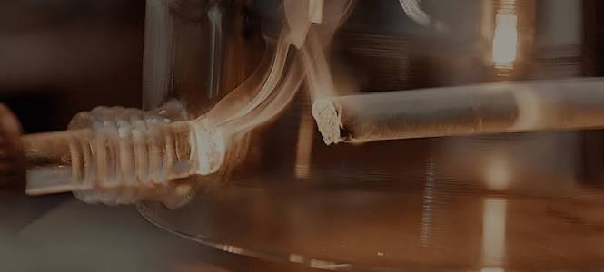 Combustion in Cigarettes | Smoke-Free Approach – PMI Science