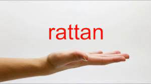Above there is a transcription of this term and an audio file with correct pronunciation. How To Pronounce Rattan American English Youtube