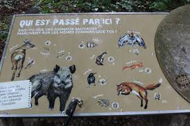 We did not find results for: Tierspuren Ratsel Der Kleine Delfin