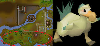 All runescape servers of skilling pets type, ranked by players votes. Five Easiest To Get Old School Runescape Pets Ez Rs Gold
