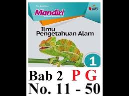 Sinar matahari matahari merupakan pengatur iklim di bumi yang sangat penting dan menjadi sumber energi utama di bumi. Kelas 7 Ipa Mandiri Bab 2 Pg No 11 50 Youtube