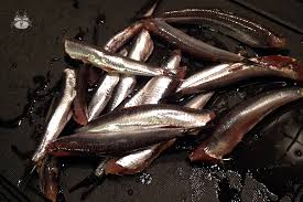 Gavros also undergoes over fishing. George S Gavros Marinatos Airinie
