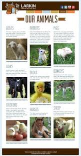 Sam's path petting zoo from hartwell, ga our exciting mobile petting zoo gives you a chance to have one on. 30 Mobile Petting Zoo Ideas Mobile Petting Zoo Zoo Zoo Animals