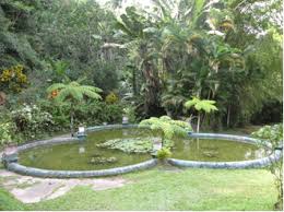 Renewing Pride in Castleton Gardens- Bill & Gail F.