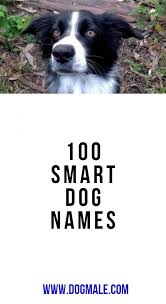 Black And Brown Dog Names 100 Smart Dog Names Dog Names Smart Dog Male Dog Names Unique
