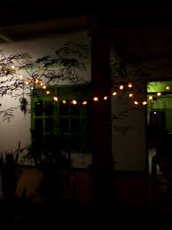 Ada yang cakap lampu kalimantan dan ada yang cakap lampu kalimantang. My Shimmering Tamarindus Indica We Wee World