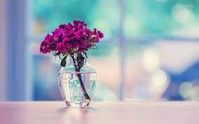 Dianthus Bouquet In A Vase Hd Wallpaper Unique Flower Vases Flower Vases Flower Wallpaper