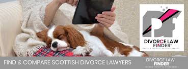 How your divorce is handled will affect the rest of your life at slater and gordon, our divorce lawyers have the experience to help you deal with every scenario. Find Compare 7 Divorce Lawyers Scotlands S Largest Law Finder Official Site