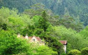 Furnas Sao Miguel Outdoor Sao