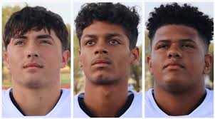Three Lions earn Padilla Poll 4A Division I All-State honors