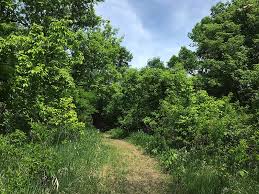 Things to do near lac qui parle state park. Visiting Lac Qui Parle And Big Stone Lake State Parks Ana Adventure
