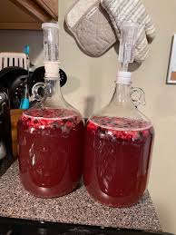 Valheim | Fermenter - Time & Recipes Guide - Gamewith
