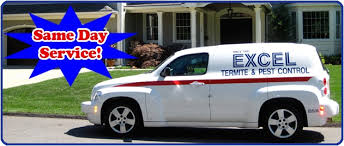 Hometown pest control is a family owned and operated pest control company servicing north broward, boca raton, boynton beach, lake worth and west palm beach areas. Organic Pest Control Palm Beach 24 7 Organic Exterminator