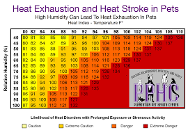 Heat Exhaustion And Heat Stroke In Pets
