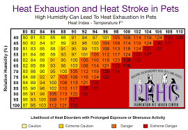 heat exhaustion and heat stroke in pets