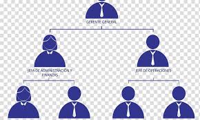 Organizational Chart Empresa Business Organizational