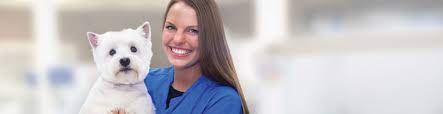 The grooming schools are used to develop professionals that will handle different functions of dog grooming. Paragon Pet School Paragon School Of Pet Grooming