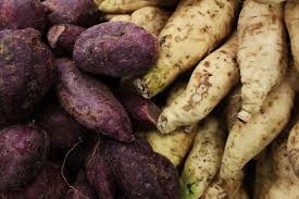 Tanam ubi kayu dalam polybag. 6 Cara Menanam Ubi Jalar Pemula Berbuah Banyak Besar Nona Tani