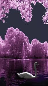 Nature Birds And Flowers Wallpaper Nature Is Always Beautiful Iphone 6 Wallpaper Birds Iphone 6 Wallpapers Nature Ip Best Nature Wallpapers Iphone Wallpaper Vintage Flower Nature Wallpaper