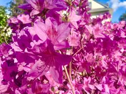 We did not find results for: Azala Cards Against Humanity