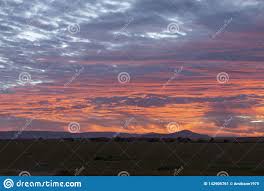 Correo electrónico, visible solo para moderadores y administradores. Cielo Rojo Sangre De La Salida Del Sol Sobre El Masai Mara Plains Kenia Imagen De Archivo Imagen De Amor Caza 142906761