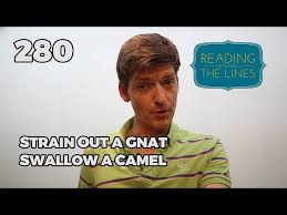 Learn the definition of 'to strain at a gnat, and swallow a camel'. Reading Between The Lines 280 Strain Out A Gnat Swallow A Camel Youtube