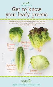 Leafy Greens Kids Veggies Infographic