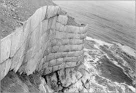 Image result for Blue Inca 2008 147